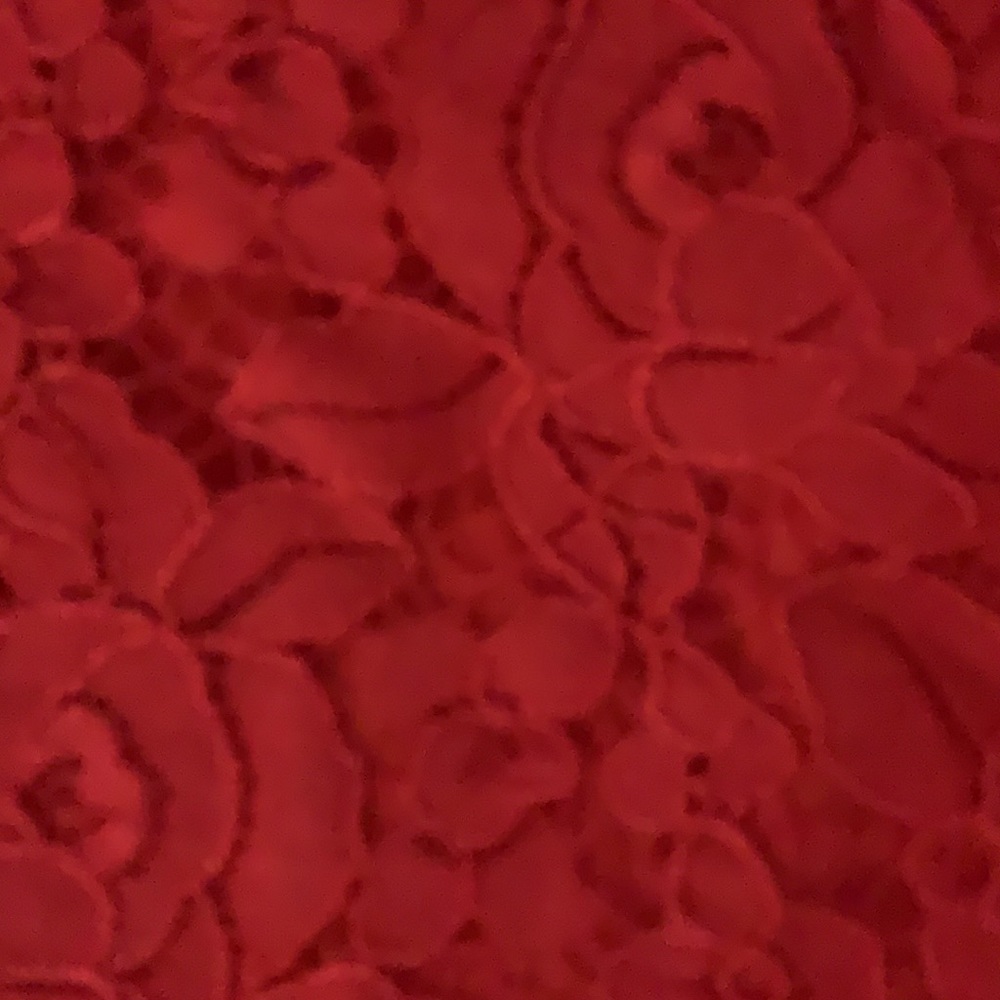 Beautiful red floral lace overlay dress! - Picture 4 of 10